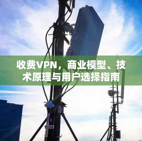 收费VPN，商业模型、技术原理与用户选择指南