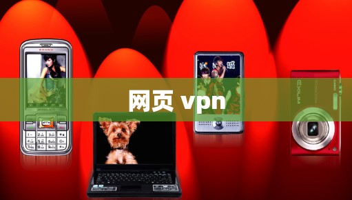 网页 vpn