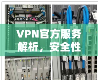 VPN官方服务解析，安全性、速度与隐私保护的全面指南
