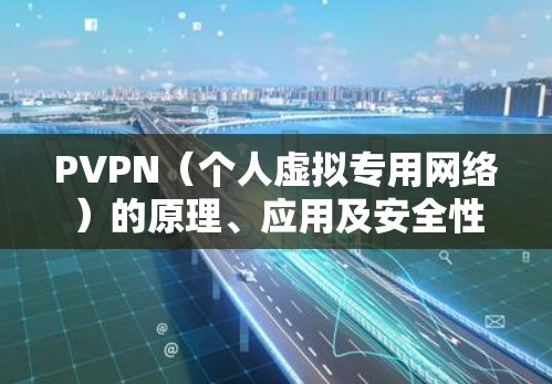 PVPN（个人虚拟专用网络）的原理、应用及安全性分析