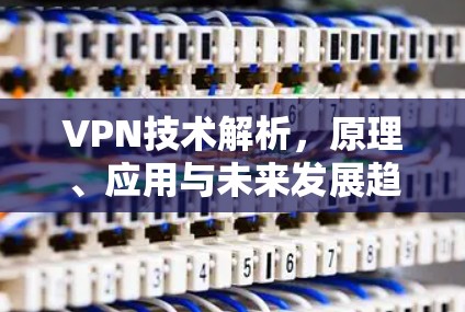 VPN技术解析，原理、应用与未来发展趋势