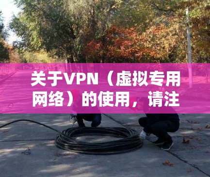 关于VPN（虚拟专用网络）的使用，请注意以下几点重要信息