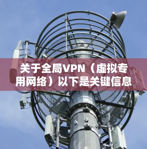 关于全局VPN（虚拟专用网络）以下是关键信息总结