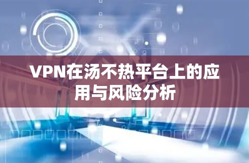 VPN在汤不热平台上的应用与风险分析